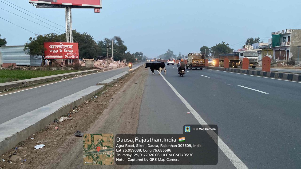 Hoarding image 168